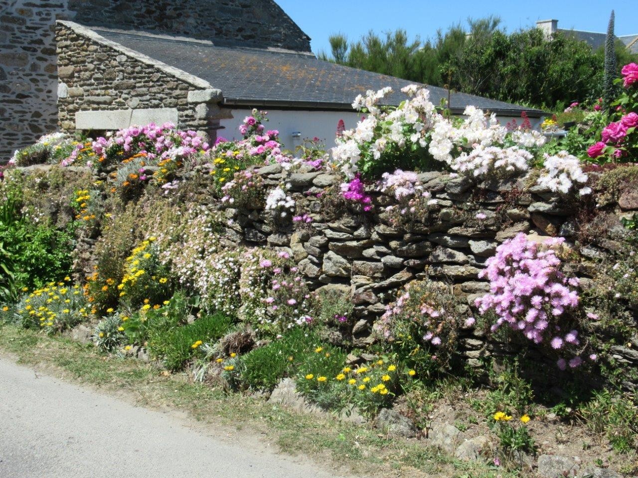 rando pointe st mathieu 2022