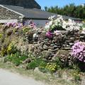 rando pointe st mathieu 2022